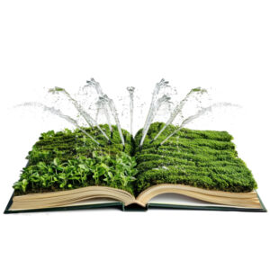 Clave IrriDesign PRO – Informe Digital Avanzado de Riego Agronómico