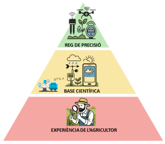 Infografia de la piràmide de l’agricultura de precisió mostrant tres nivells: Experiència del agricultor a la base, Base científica al nivell intermig i Reg de precisió al cim, amb sensors, dades i tecnologia intel·ligent.