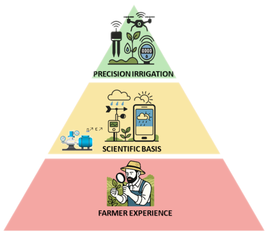 Infographic of the precision agriculture pyramid showing three levels: Farmer experience at the base, Scientific base at the intermediate level, and Precision irrigation at the top, with sensors, data, and smart technology.