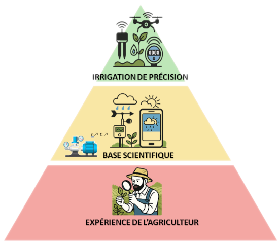 Infographie de la pyramide de l'agriculture de précision montrant trois niveaux : expérience de l'agriculteur à la base, base scientifique au niveau intermédiaire et irrigation de précision au sommet, avec capteurs, données et technologie intelligente.